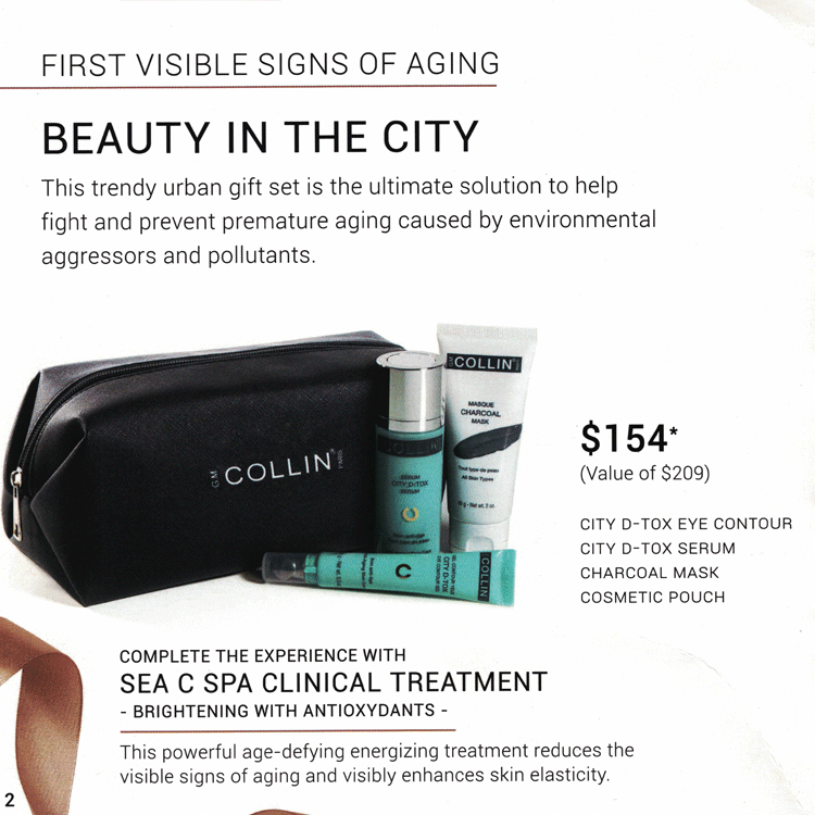 beauty in the city christmas gift
